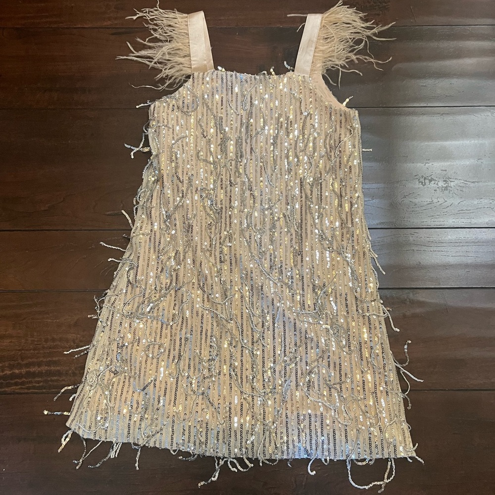Speechless Silver Sequin Kids Dance Costume
